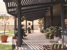 sidewalk